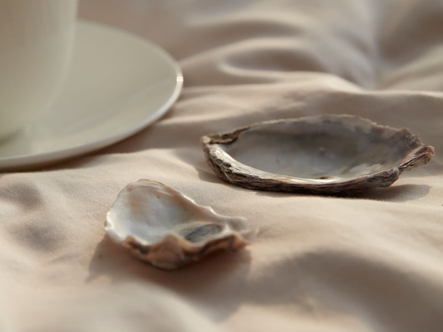 Örngott Vidd - Seashell Beige