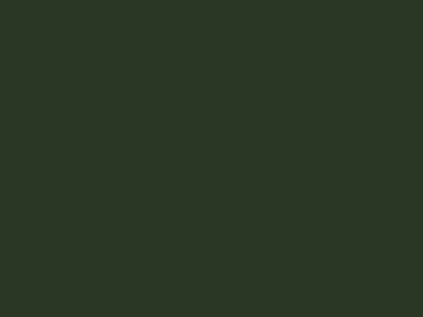 Örngott Fond - Forest Green - 50x90 cm