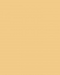 Handduk Essens - Honey Yellow Handduk Essens - Honey Yellow