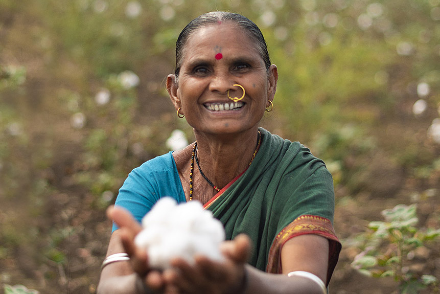 Bomullsodling Chetna
