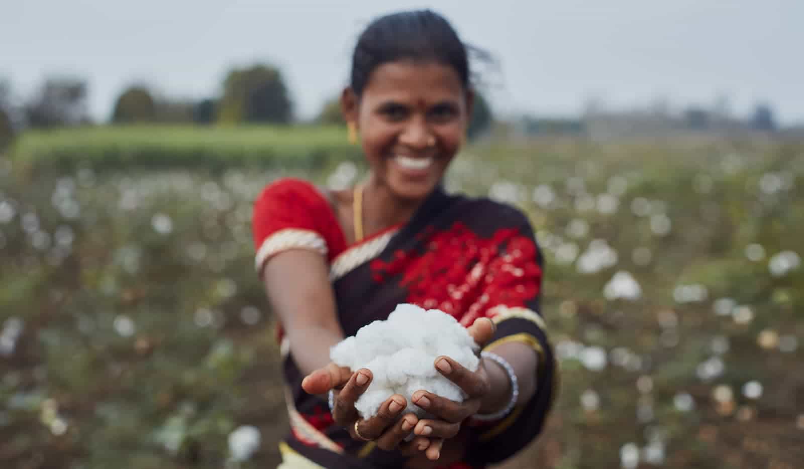 Ekologisk och fairtrade-certifierad bomull från Indien